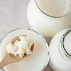 Maślanka i kefir w szklanych naczyniach. Na drewnianej łyżce ziarna kefirowe.
