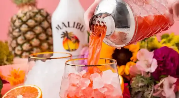 Orzeźwiający drink z malibu, nalewany z shakera do szklanki z lodem. W tle ananas, butelka Malibu i kwiaty.