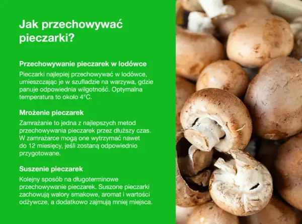 Jak przechowywać pieczarki? Wskazówki dotyczące przechowywania w lodówce, mrożenia i suszenia.