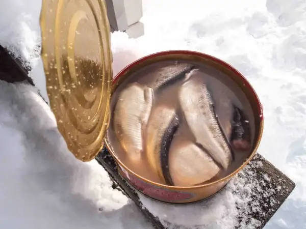Otwarta puszka z kiszonymi śledziami w zalewie, stojąca na śniegu.