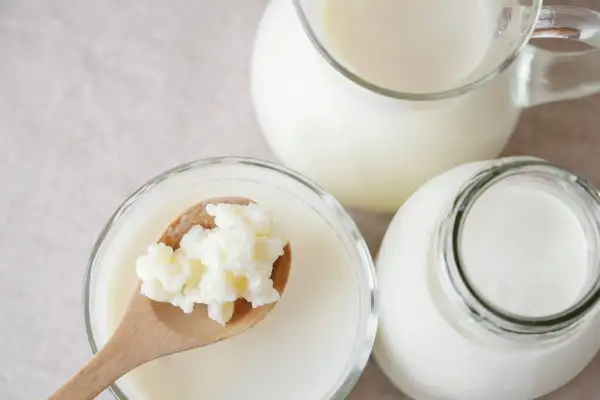 Maślanka i kefir w szklanych naczyniach. Na drewnianej łyżce ziarna kefirowe.