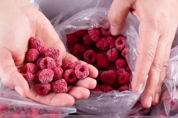 Dłonie przesypują mrożone maliny z woreczka. Idealne do smoothie i deserów przez cały rok.